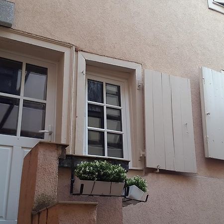 Colmar City Center Little Venise - Gite De Louise - 外观 照片